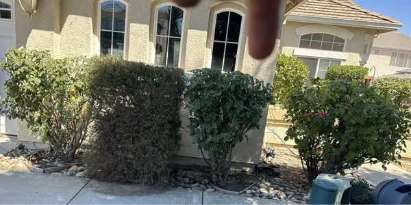 Arteaga’s Amazing Lawn And Garden Services Logo