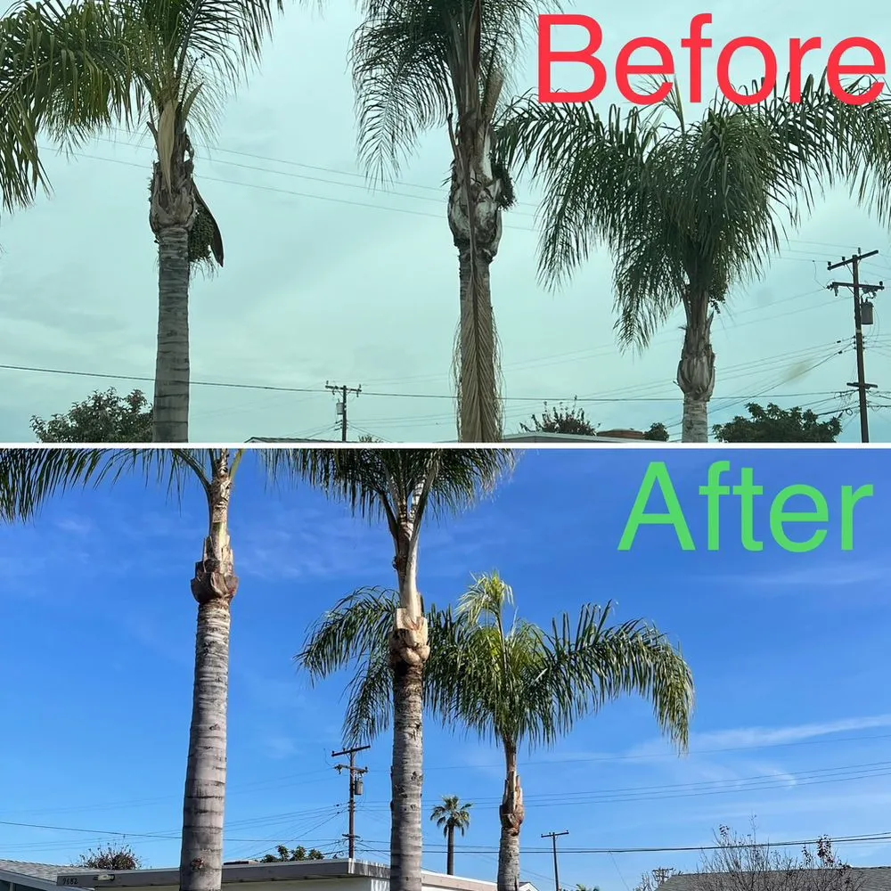 Affordable garden landscaping with custom design across Buena Park, CA - Arteaga's Garden Service