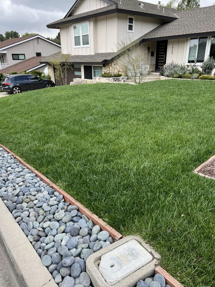 Trusted yard cleanup service in Buena Park, CA - Arteaga's Garden Service