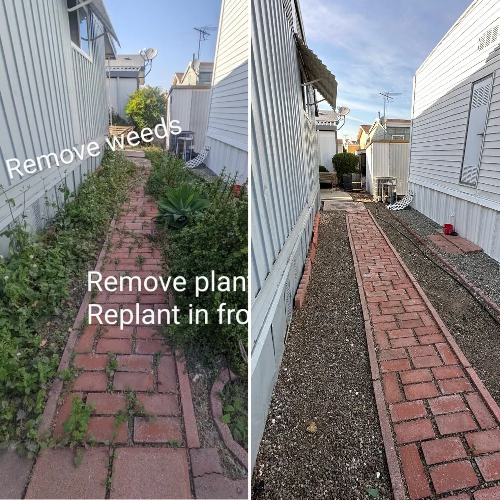 Professional residential landscaping in Buena Park, CA by Arteaga's Garden Service