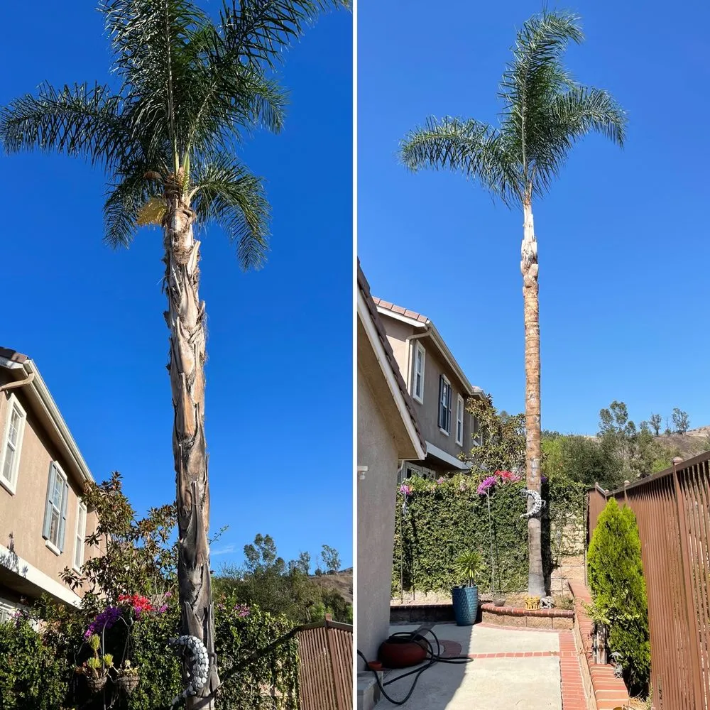 Local lawn mowing service in Buena Park, CA - Arteaga's Garden Service