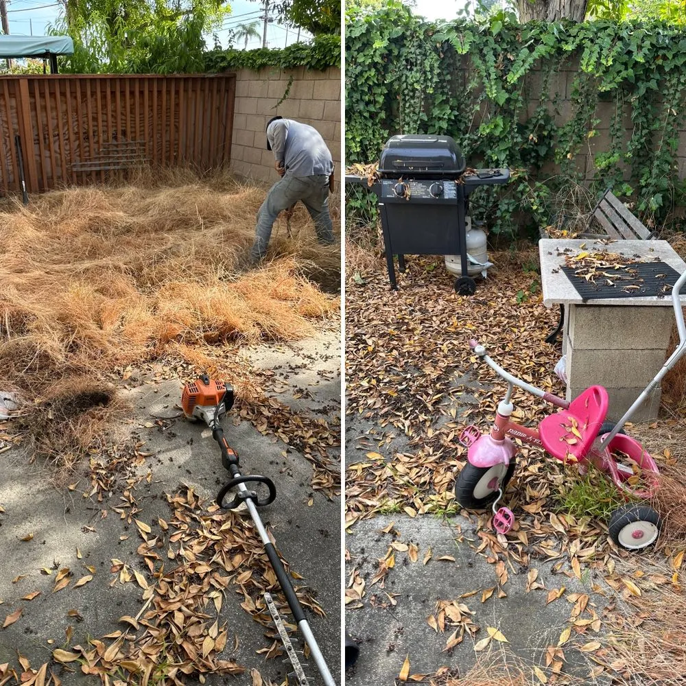 Expert landscaping services for outdoor upgrades in Buena Park, CA by Arteaga's Garden Service