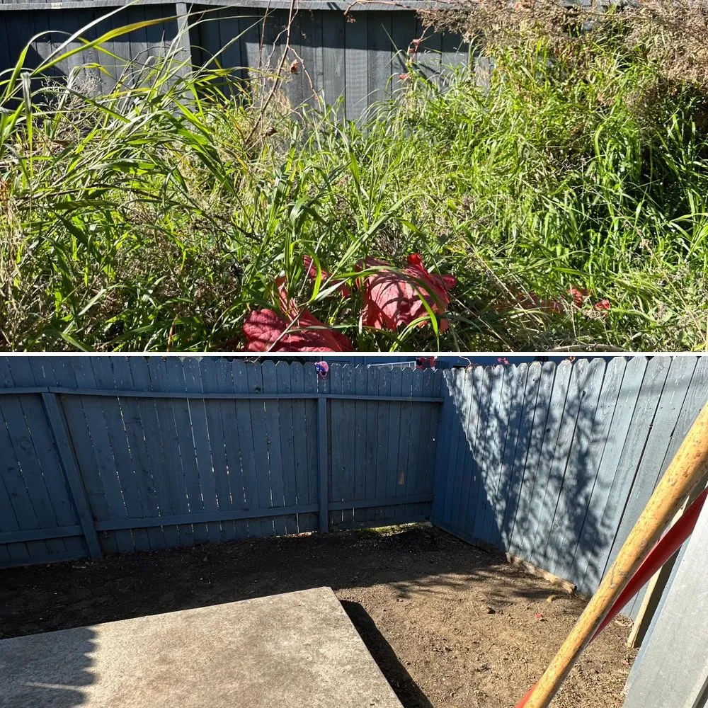 Expert landscaping services for homes across Buena Park, CA - Arteaga's Garden Service