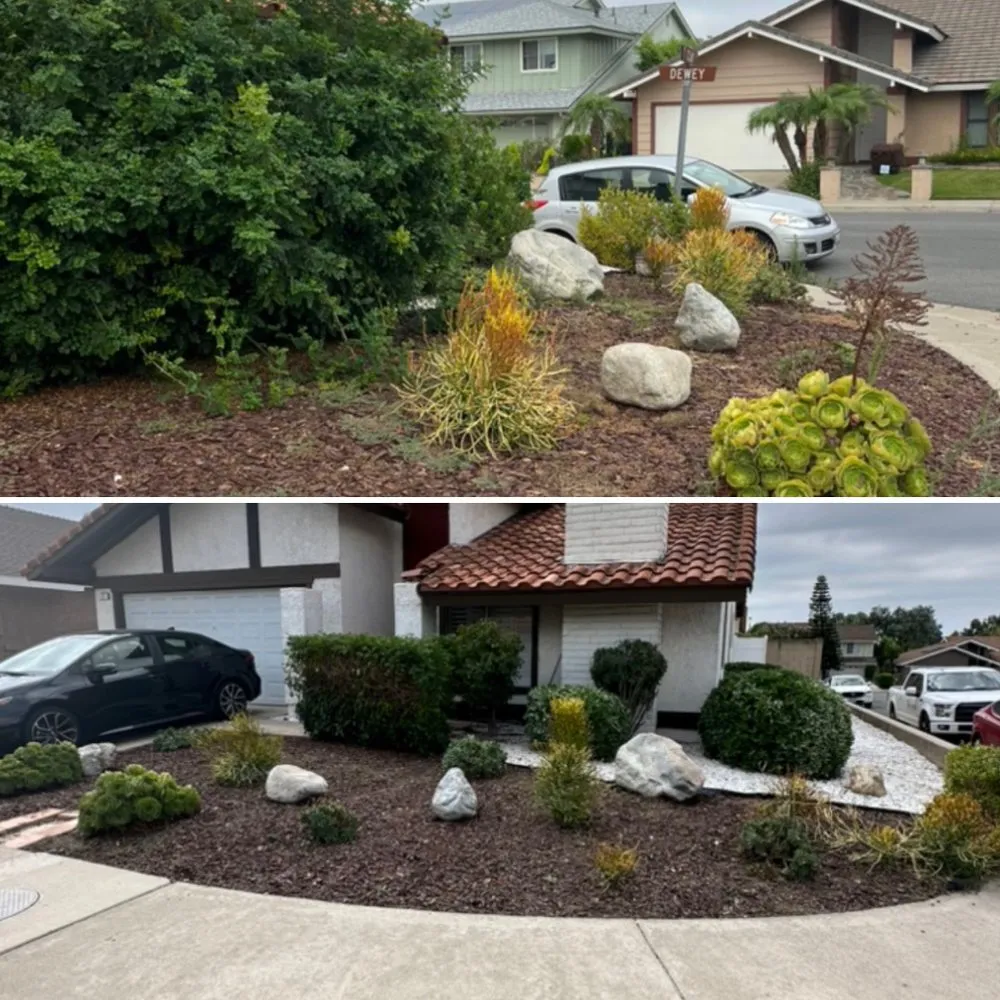 Expert yard cleanup service experts serving Buena Park, CA - Arteaga's Garden Service