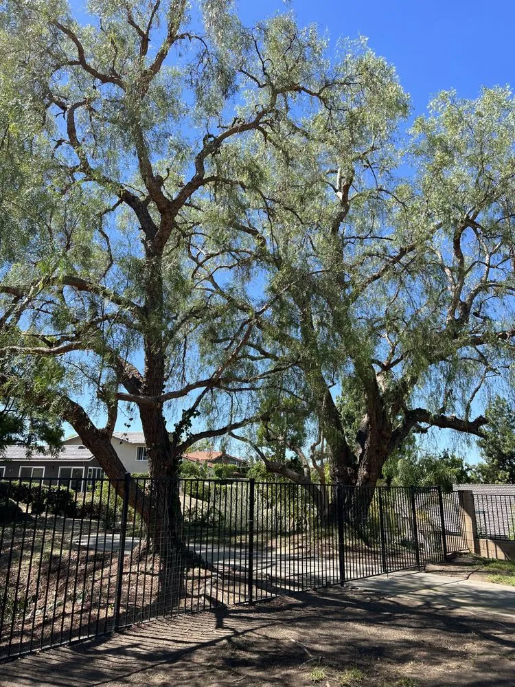 Local yard maintenance in Buena Park, CA by Arteaga's Garden Service