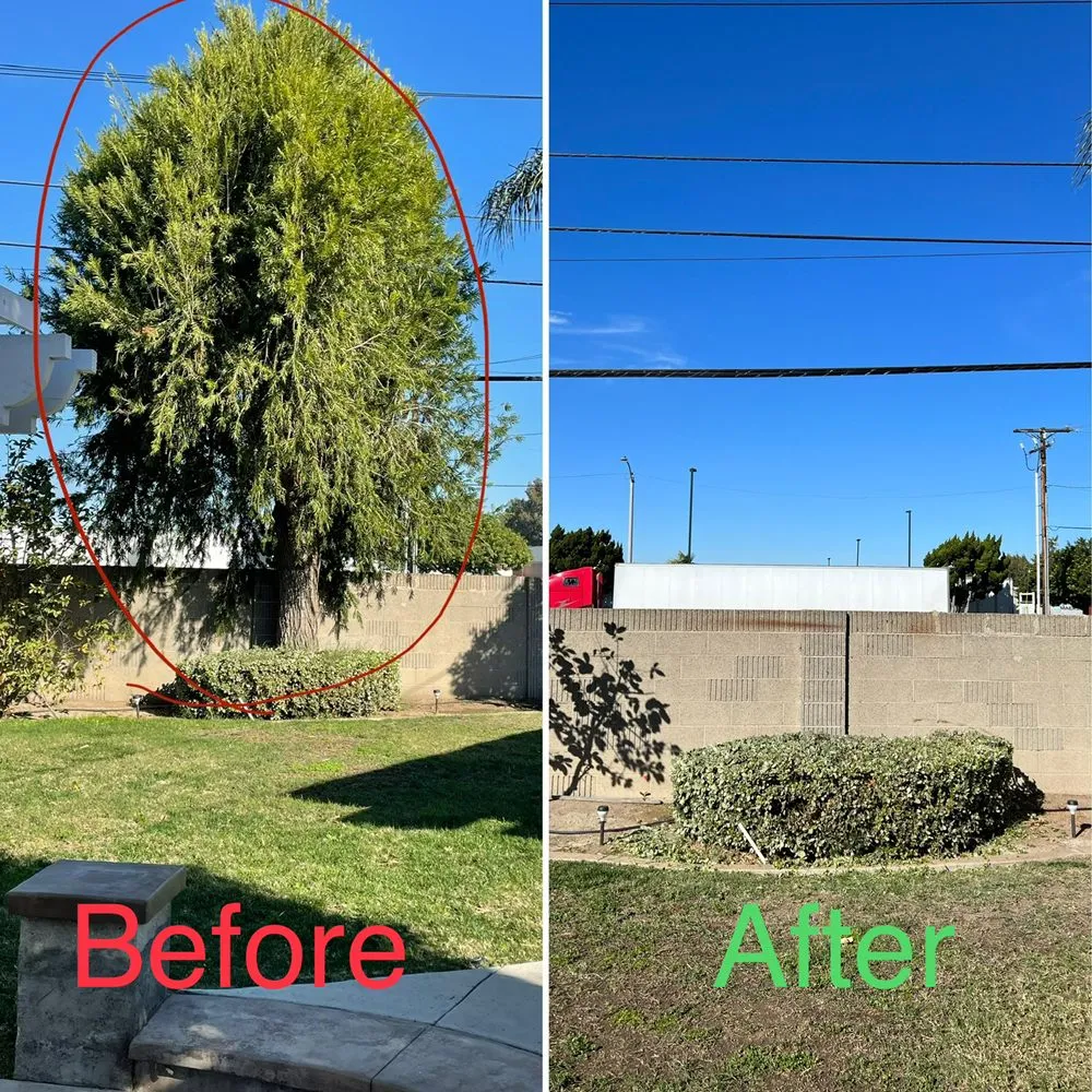 Custom yard cleanup service in Buena Park, CA - Arteaga's Garden Service