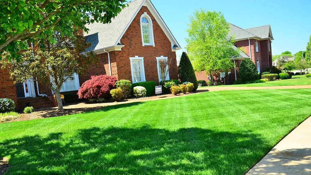 Local landscape installation in Austin, TX - Arteagas Landscaping & Lawn Care