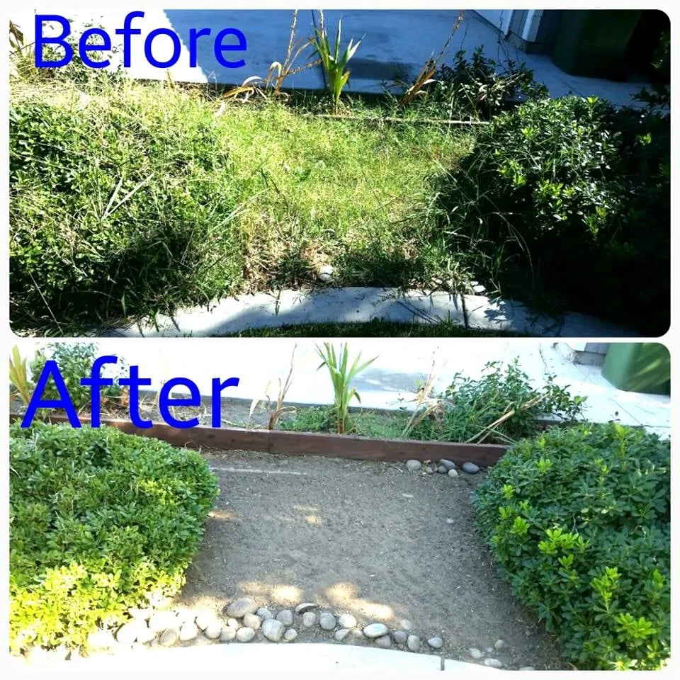 Custom lawn care service experts serving Lodi, CA - Arteaga's Landscaping