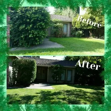 Reliable lawn care service for homes in Lodi, CA by Arteaga's Landscaping