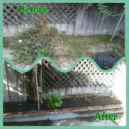 Local lawn care service experts serving Lodi, CA - Arteaga's Landscaping