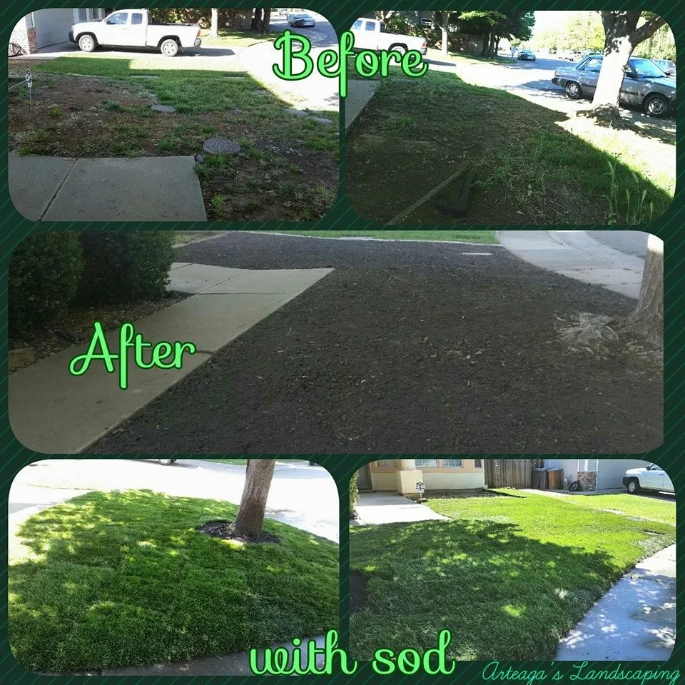 Reliable garden landscaping in Lodi, CA by Arteaga's Landscaping