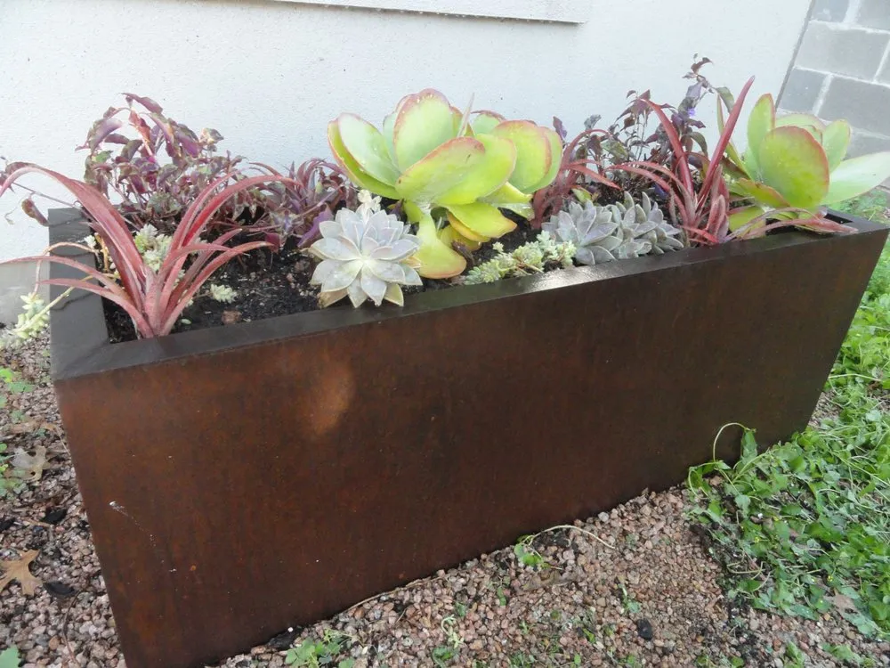 Custom lawn mowing service in Austin, TX - Artemantis Landscape