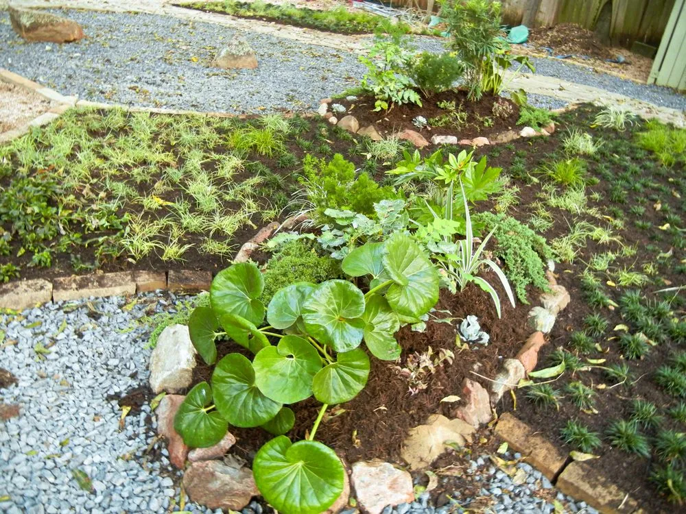 Reliable garden landscaping in Austin, TX - Artemantis Landscape