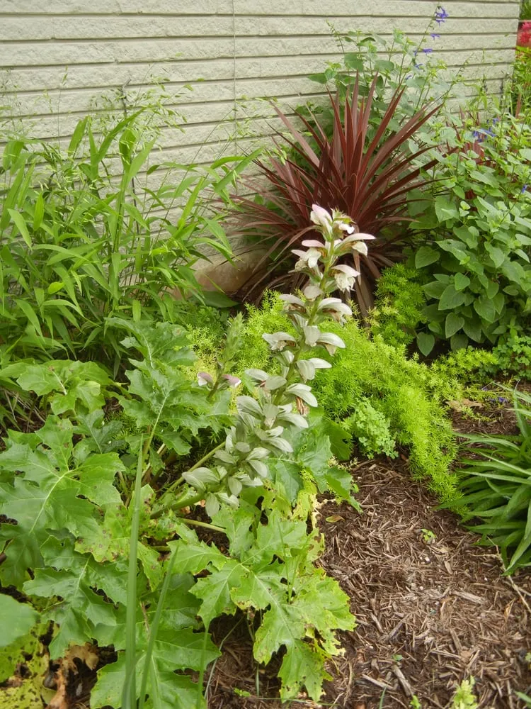 Expert garden landscaping for outdoor upgrades in Austin, TX by Artemantis Landscape