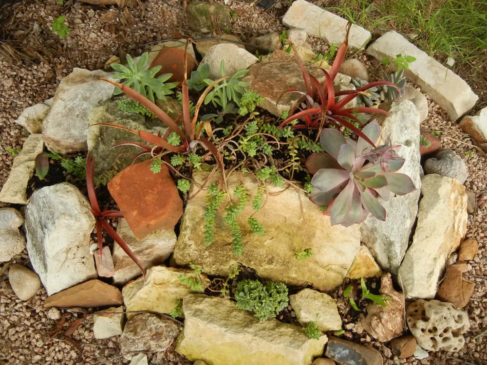 Expert yard cleanup service for outdoor upgrades across Austin, TX - Artemantis Landscape