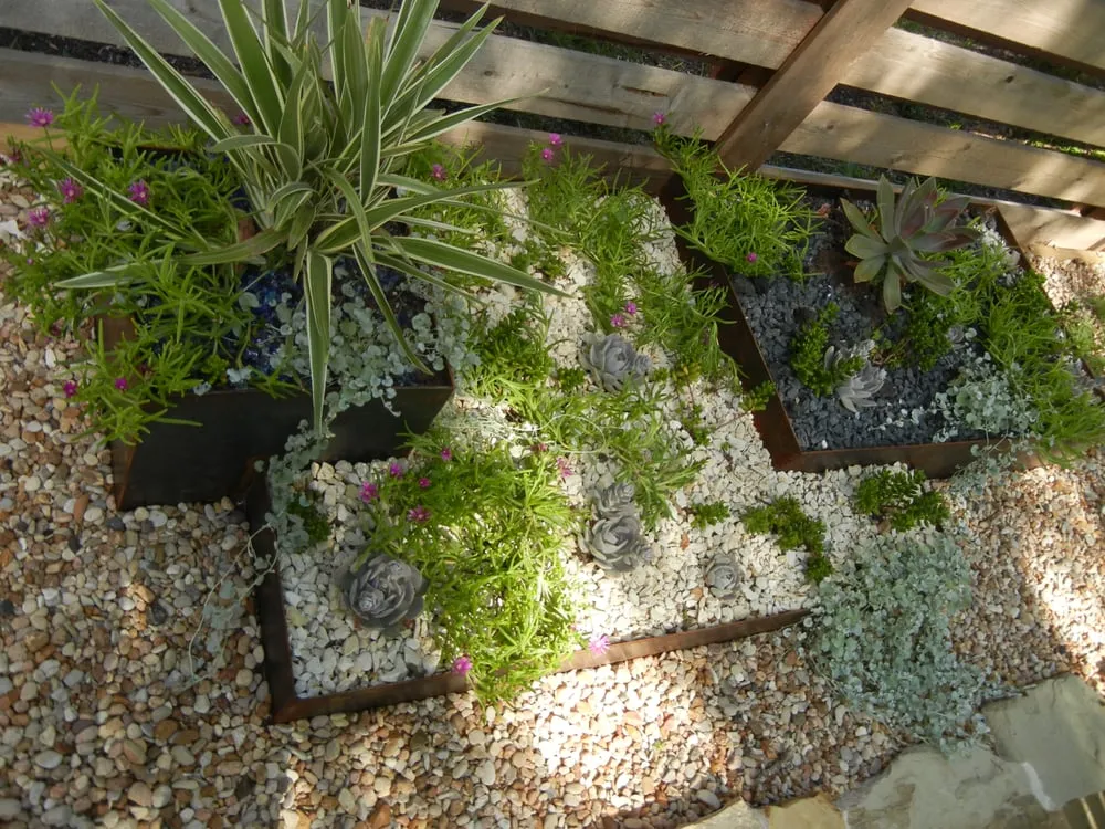 Custom outdoor landscaping in Austin, TX by Artemantis Landscape
