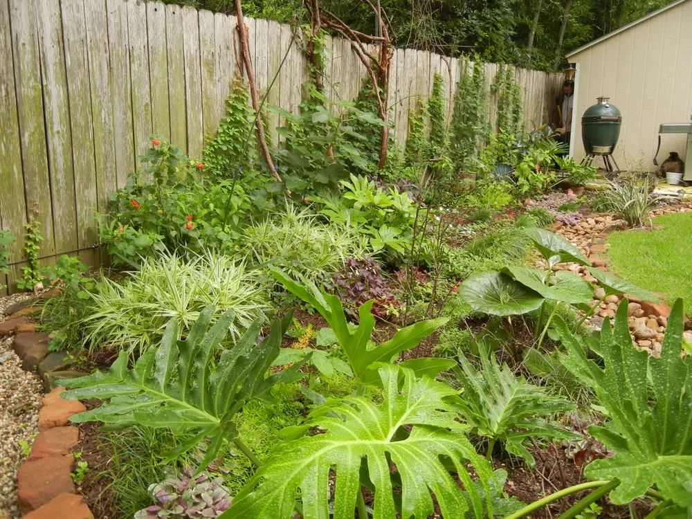 Reliable residential landscaping with custom design across Austin, TX - Artemantis Landscape