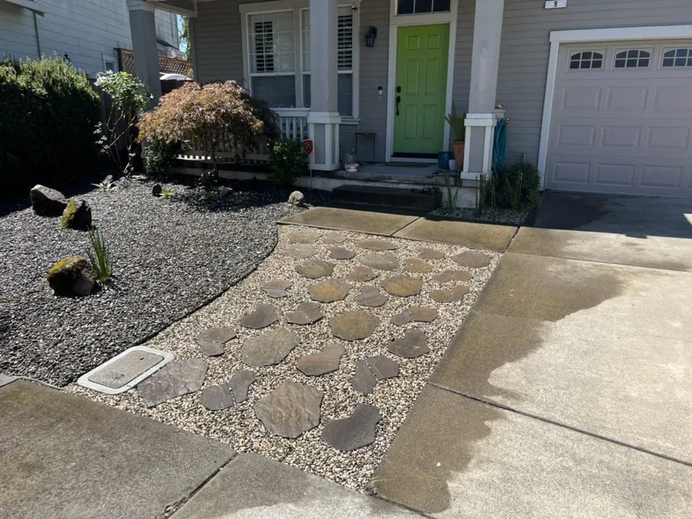 Expert yard cleanup service experts serving Petaluma, CA - Artemio Basaldua Landscaping