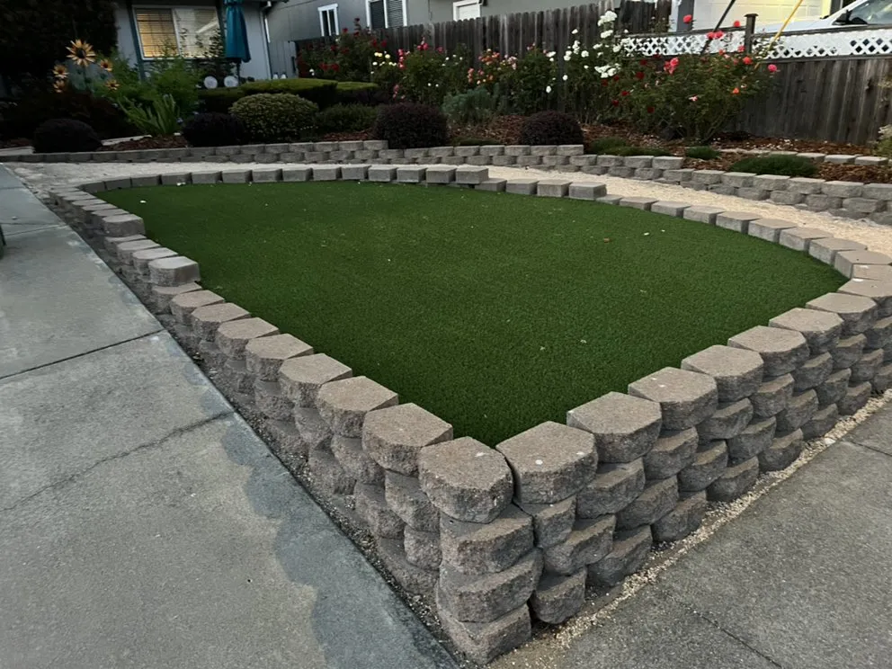 Professional lawn care service in Petaluma, CA by Artemio Basaldua Landscaping