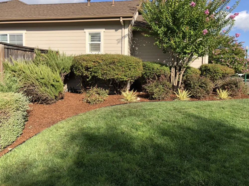 Custom lawn care service for residential properties in Petaluma, CA by Artemio Basaldua Landscaping