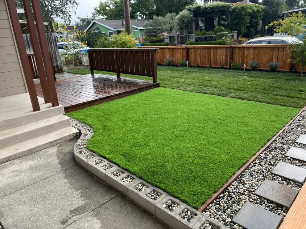 Top-rated lawn care service in Petaluma, CA by Artemio Basaldua Landscaping