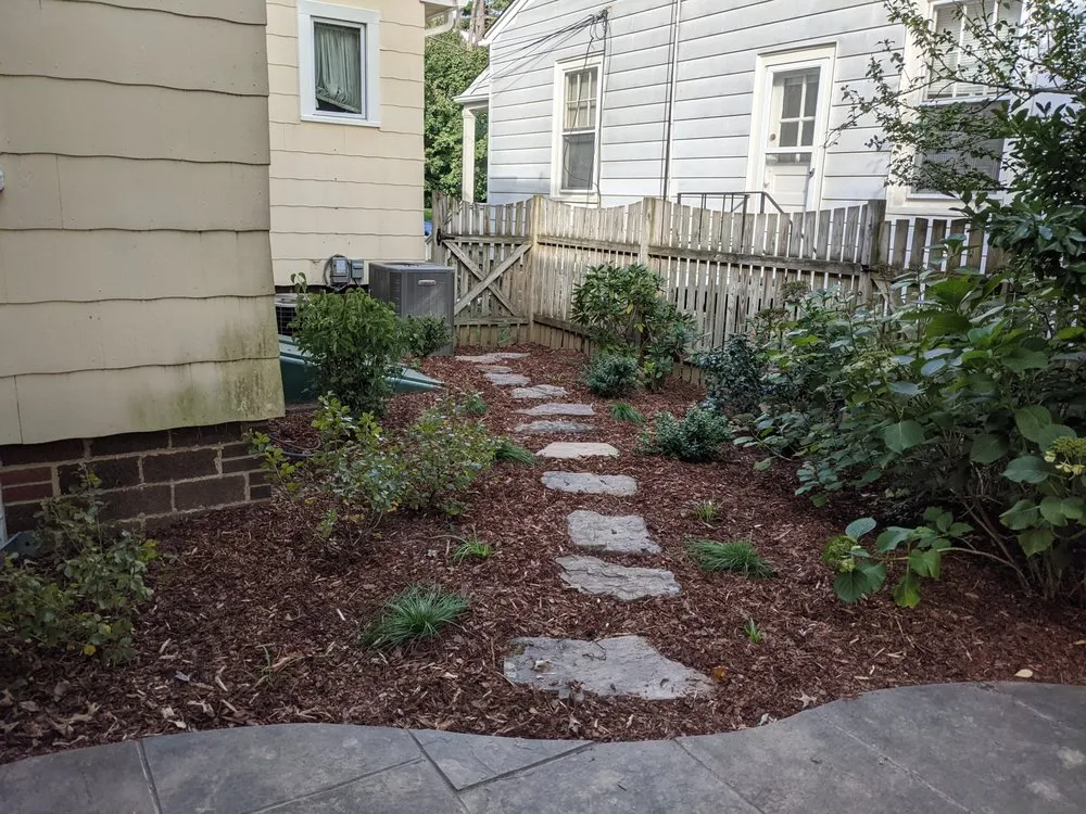 Trusted yard cleanup service in Kensington, MD by Arterra Landscapes