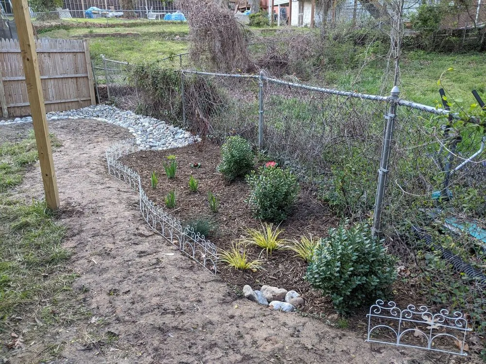 Trusted yard cleanup service in Kensington, MD by Arterra Landscapes