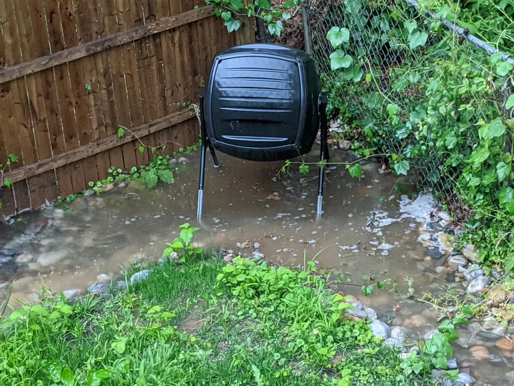 Custom yard maintenance in Kensington, MD - Arterra Landscapes