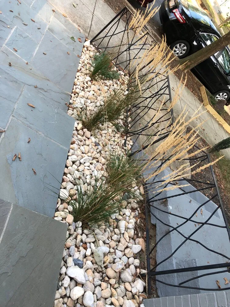 Local landscape design in Kensington, MD - Arterra Landscapes