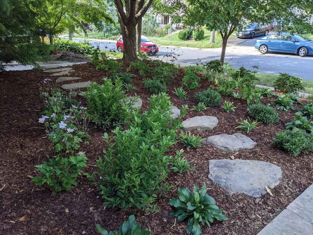 Top-rated lawn care service experts serving Kensington, MD - Arterra Landscapes