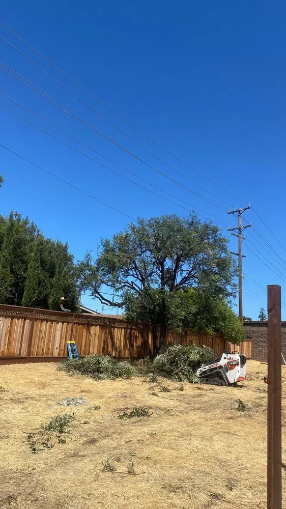 Top-rated garden landscaping for beautiful yards in San Jose, CA by Artesanal Concepts