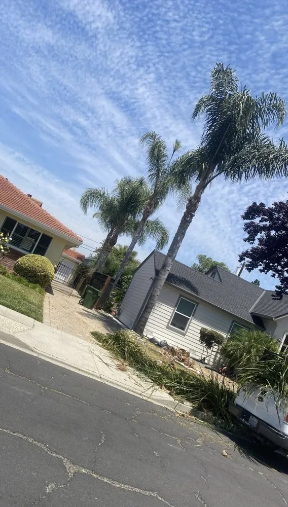 Affordable outdoor landscaping with custom design in San Jose, CA by Artesanal Concepts