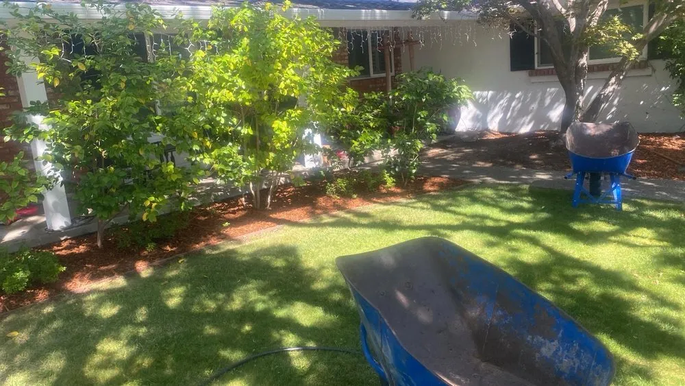 Reliable landscape design in San Jose, CA - Artesanal Concepts