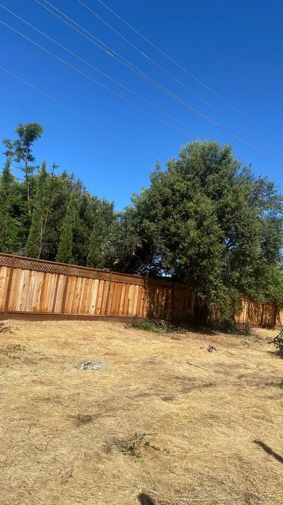 Reliable landscaping services in San Jose, CA - Artesanal Concepts