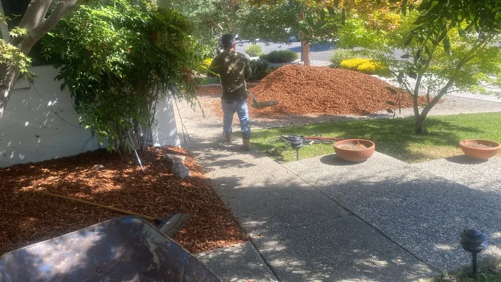 Top-rated lawn mowing service experts serving San Jose, CA - Artesanal Concepts