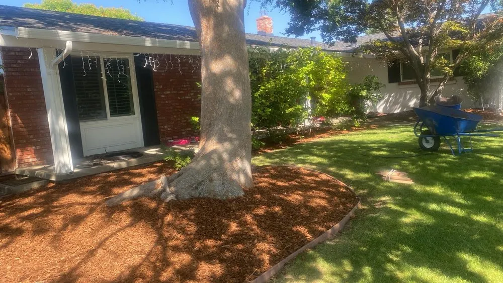 Trusted landscape installation in San Jose, CA - Artesanal Concepts
