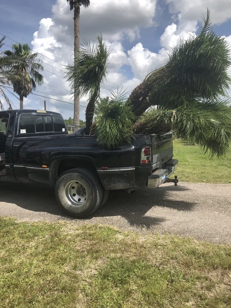 Reliable lawn care service in Mims, FL - Artesian Tree and Landscape