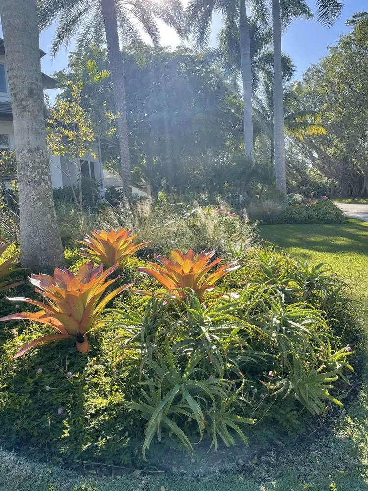 Trusted residential landscaping in Naples, FL - Artful Exteriors