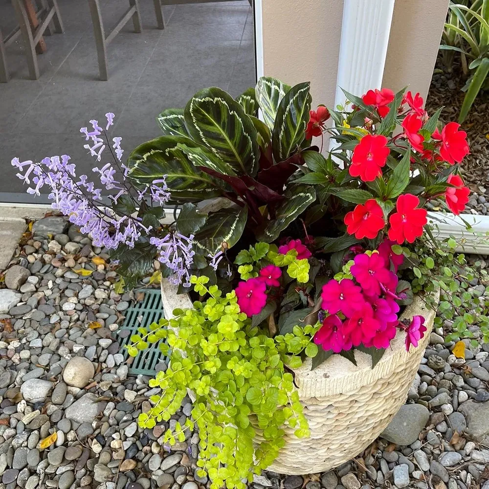 Custom garden landscaping in Naples, FL by Artful Exteriors