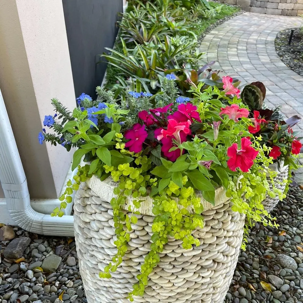 Reliable landscape installation in Naples, FL by Artful Exteriors