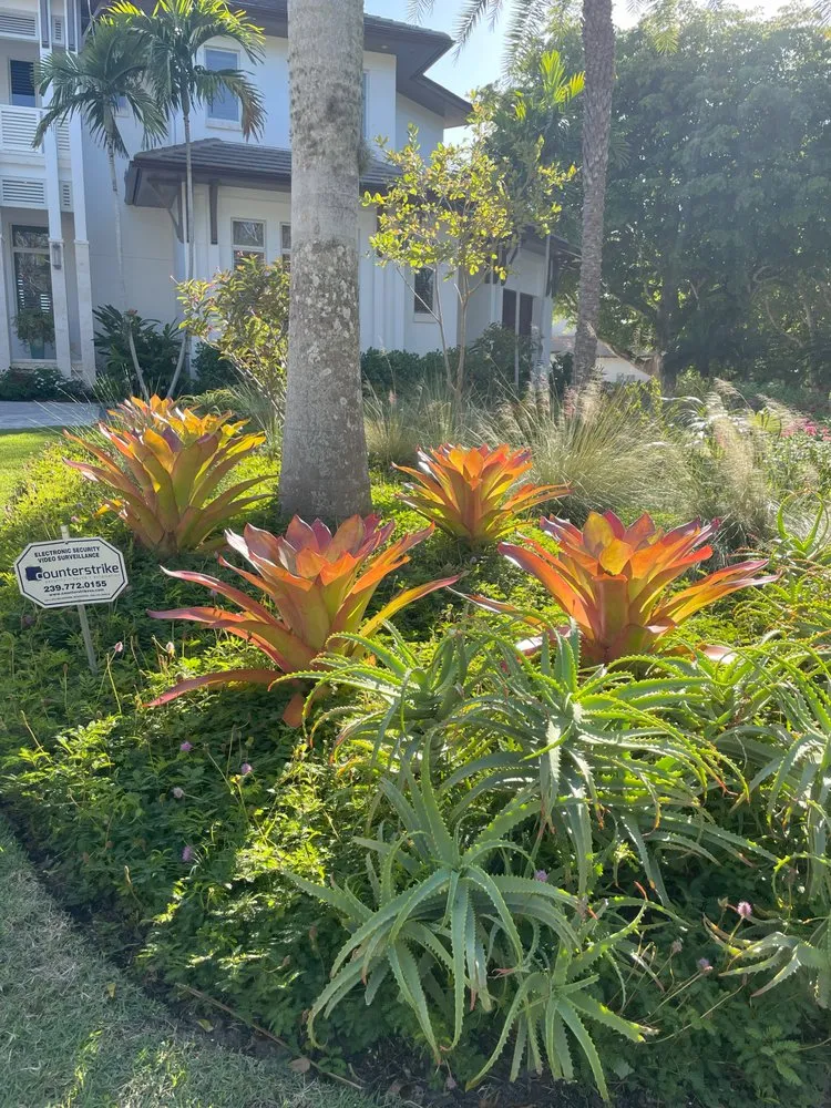 Local landscape installation experts serving Naples, FL - Artful Exteriors