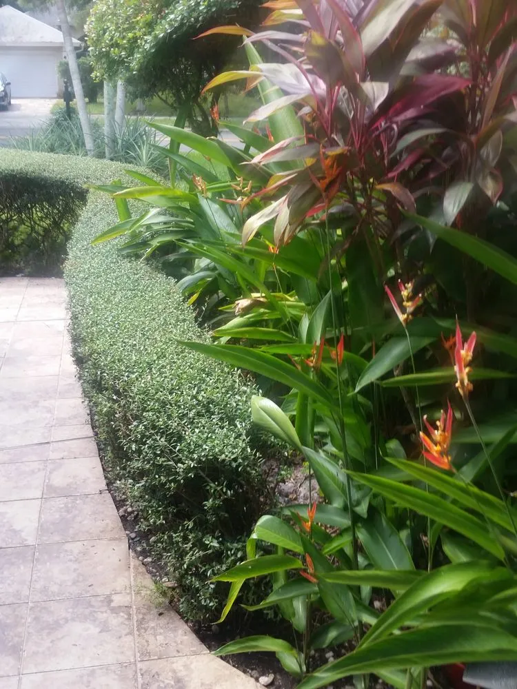 Trusted garden landscaping for residential properties across Naples, FL - Artful Exteriors