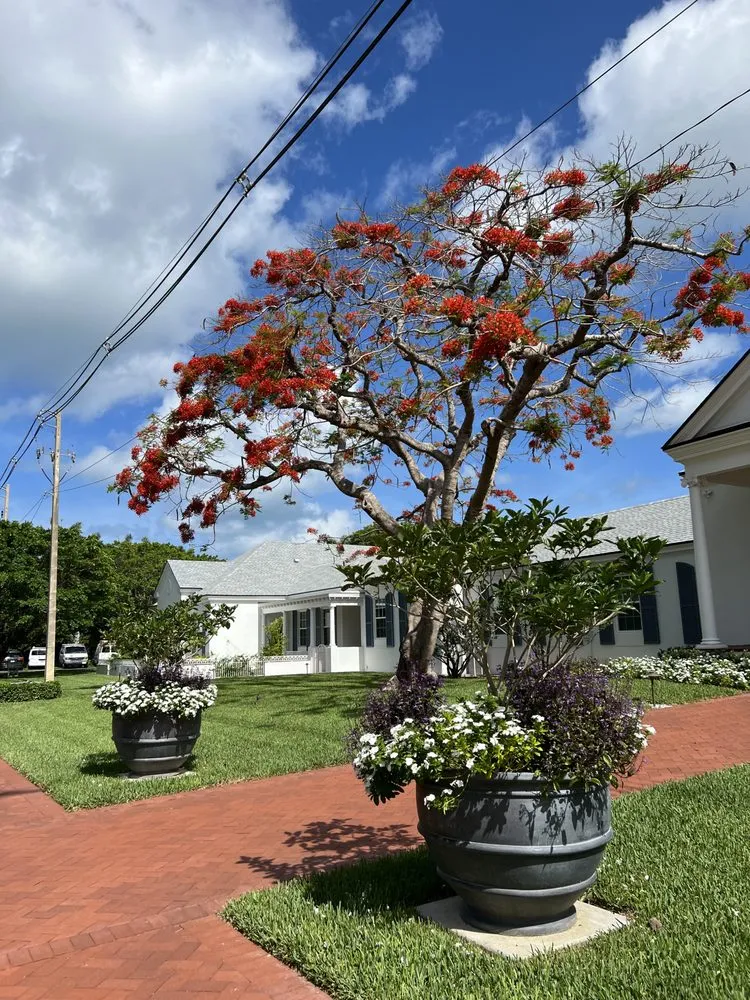 Reliable landscape design experts serving Naples, FL - Artful Exteriors