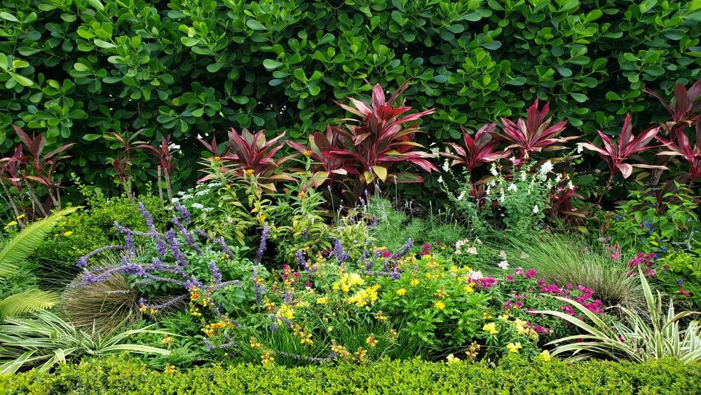 Top-rated yard maintenance in Naples, FL by Artful Exteriors