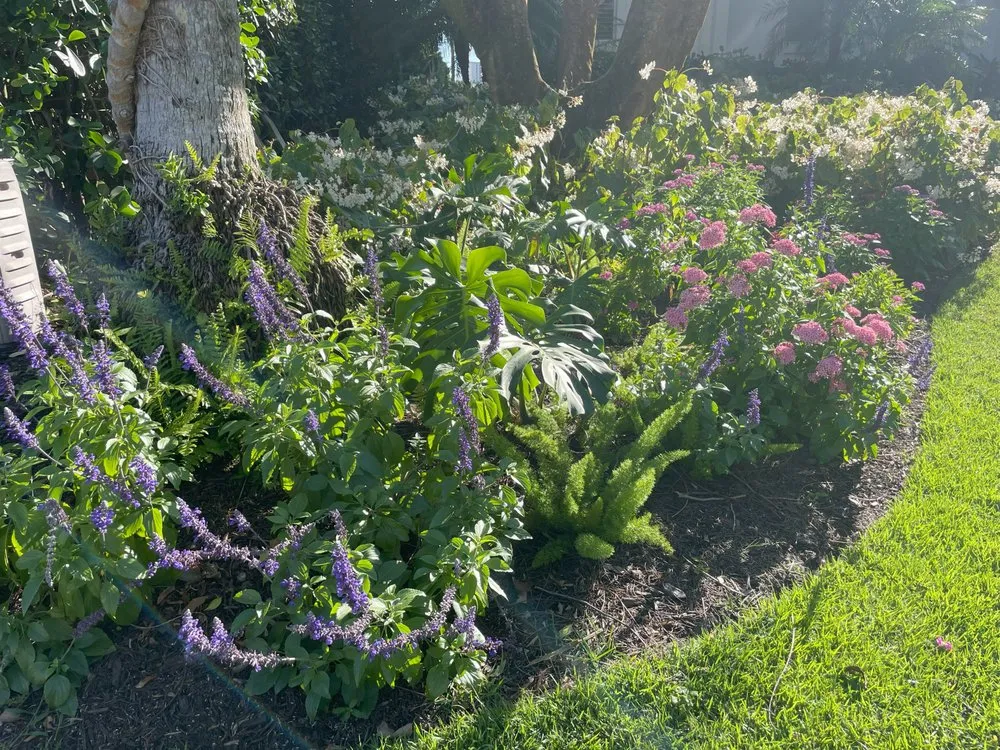 Affordable garden landscaping near you across Naples, FL - Artful Exteriors