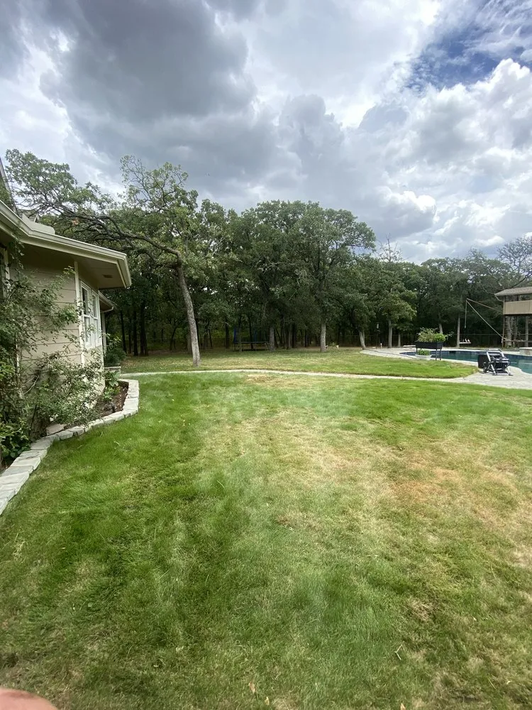 Custom yard cleanup service in Flower mound, TX - Arthur Tree Service