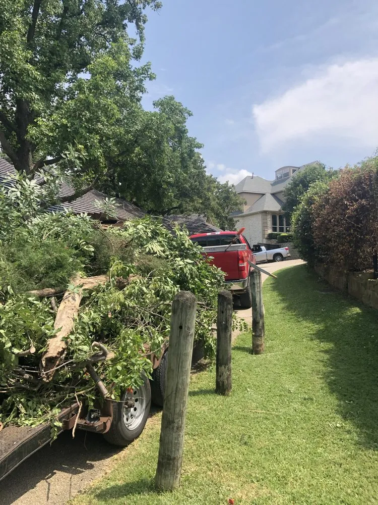Local residential landscaping for outdoor upgrades in Flower mound, TX by Arthur Tree Service