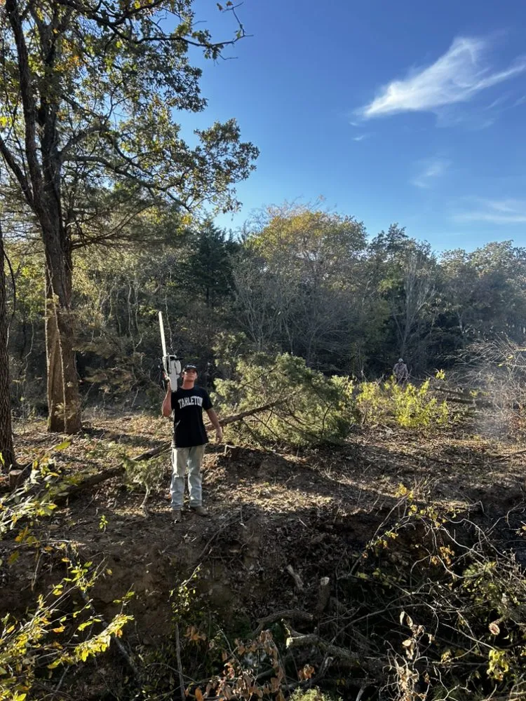 Trusted lawn care service for year-round maintenance in Flower mound, TX by Arthur Tree Service