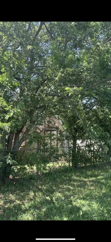 Local landscape design in Flower mound, TX by Arthur Tree Service