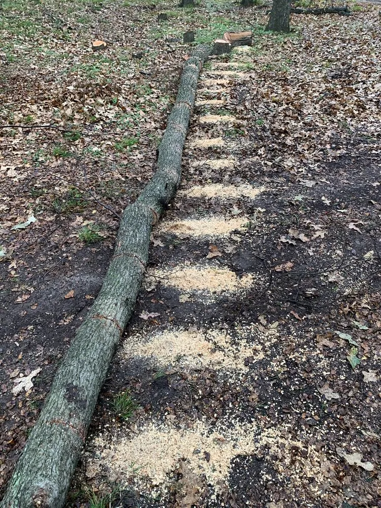 Trusted lawn care service in Flower mound, TX - Arthur Tree Service